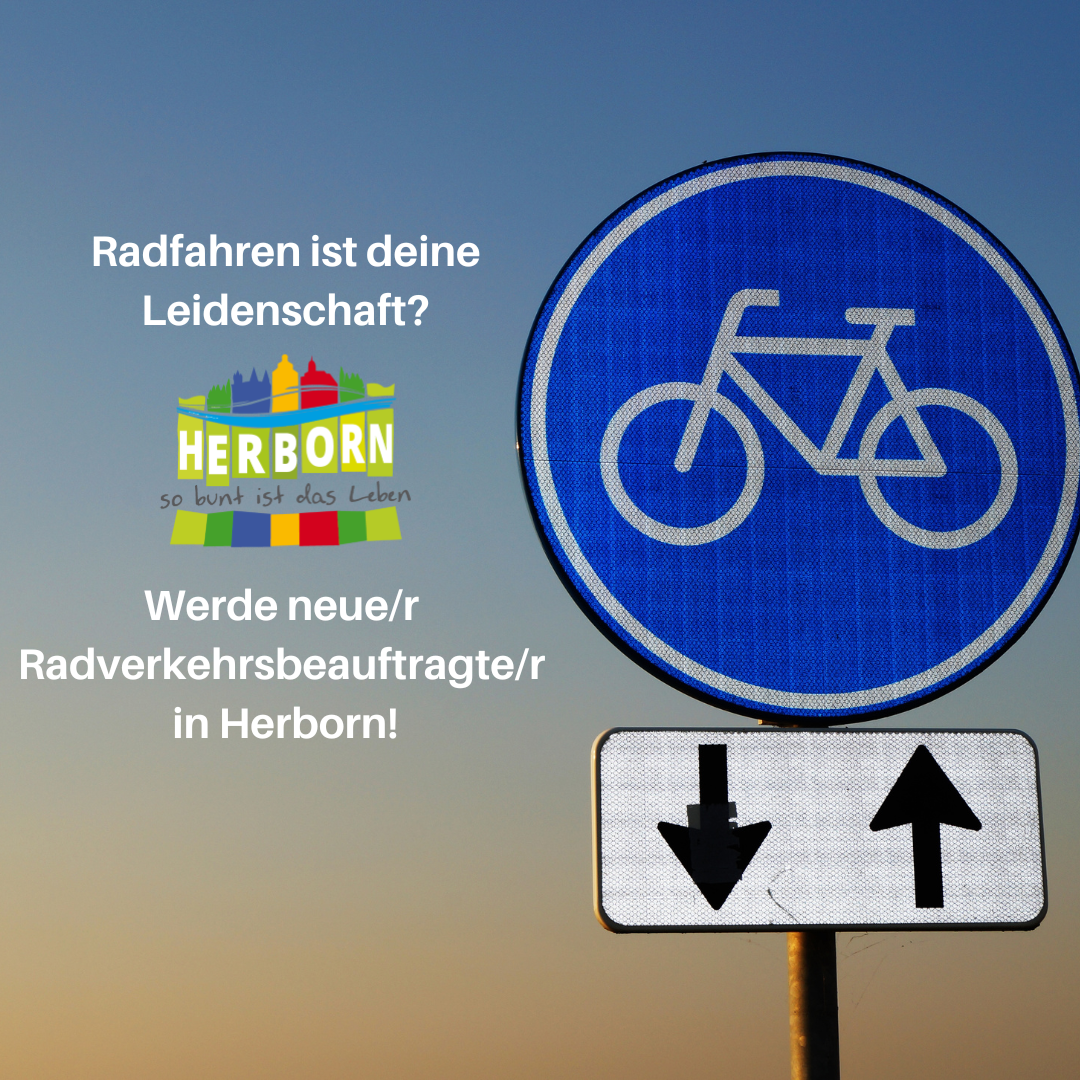 Beispielbild Radverkehr; blaues Schild für Radweg
