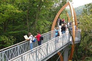 Mit dem Ranger durch den Kellerwald