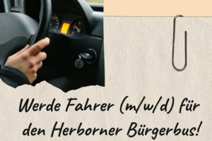 Beispielbild Fahrer für Bürgerbus gesucht; Detail Hände am Lenkrad