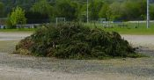 Baum und Heckenschnitt