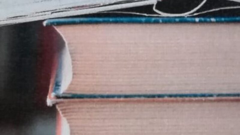 Beispielbild Autorenlesung Renate Steinseifer