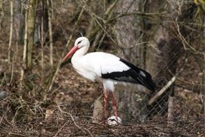 Vogel- und NaturschutzTierpark