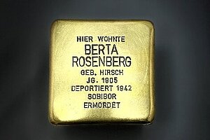 Bild eines Stolpersteins