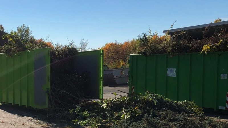 Beispielbild Container mit Baum- und Heckenschnitt