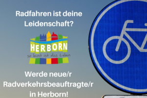 Beispielbild Radverkehr; blaues Schild für Radweg