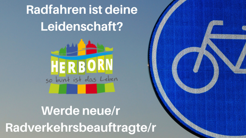Beispielbild Radverkehr; blaues Schild für Radweg