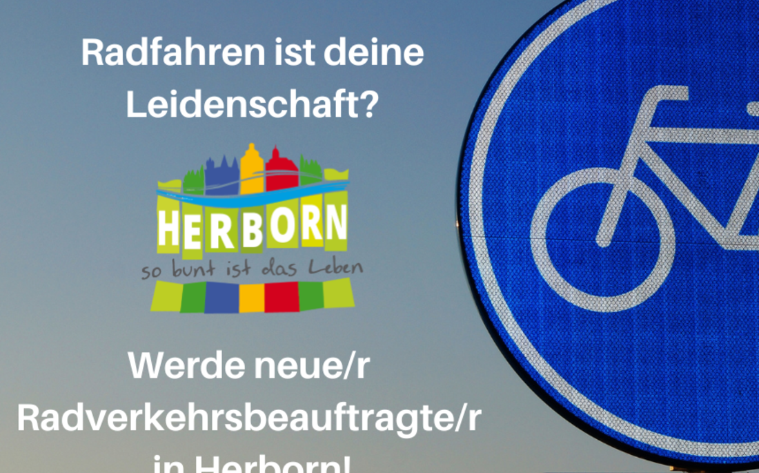 Beispielbild Radverkehr; blaues Schild für Radweg