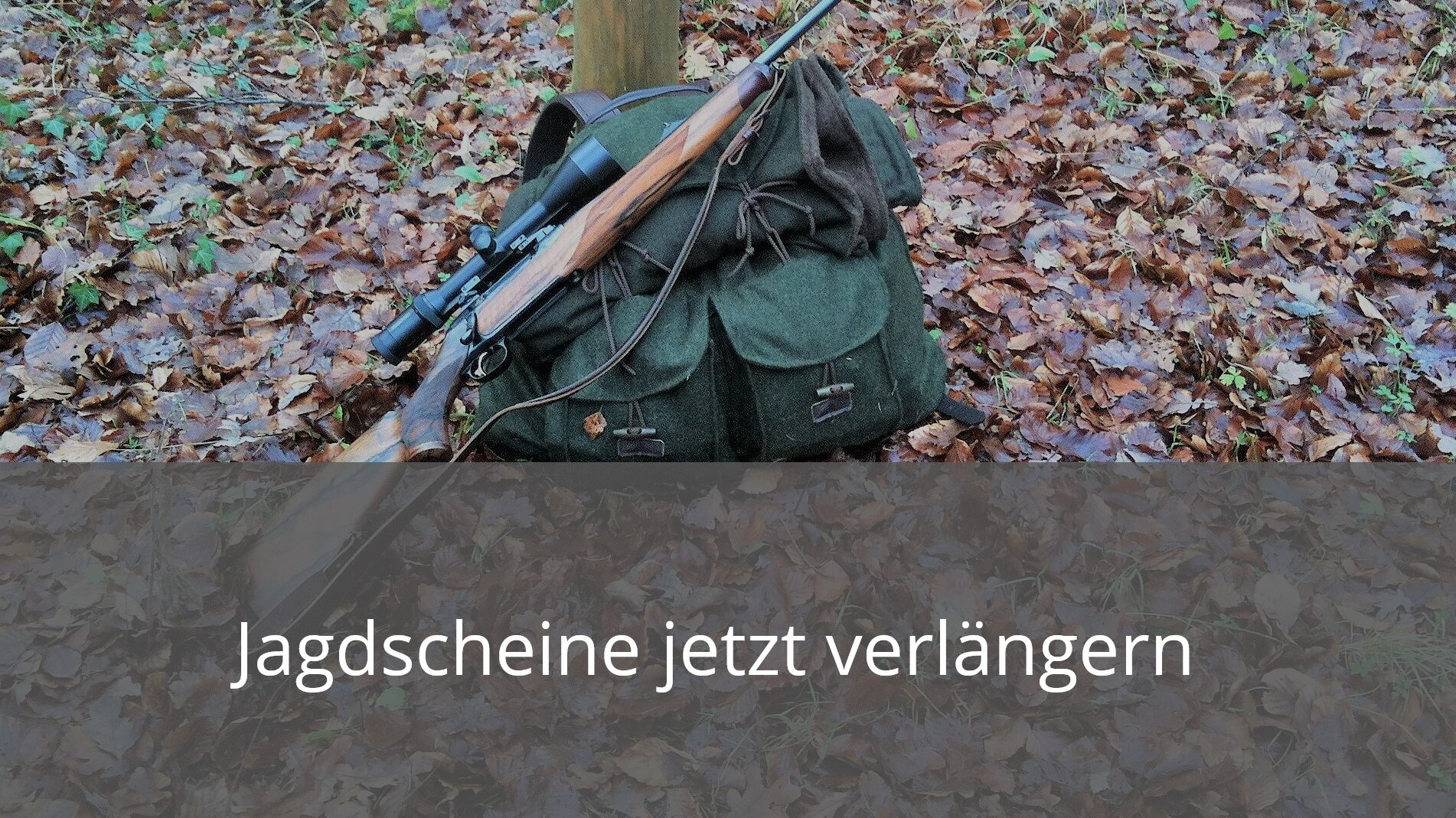 Bild eines Jagdrucksacks mit Gewehr auf Laubboden, Jagdscheine jetzt verlängern