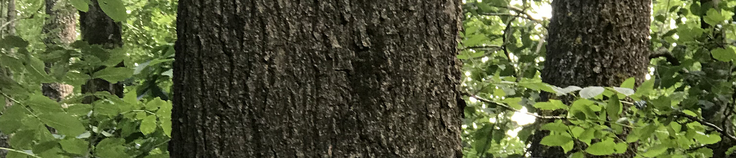 Bild eines Verkehrsschildes zur Kennzeichnung von Naturschutzgebieten