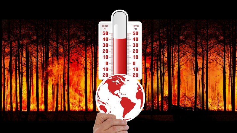 Beispielbild Waldbrand