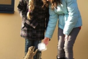 Tierpatentag im Vogelpark