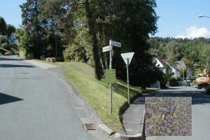 Verunreinigungen