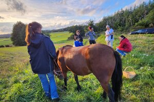 Beispielbild Naturerlebnistermine im Lahn-Dill-Bergland