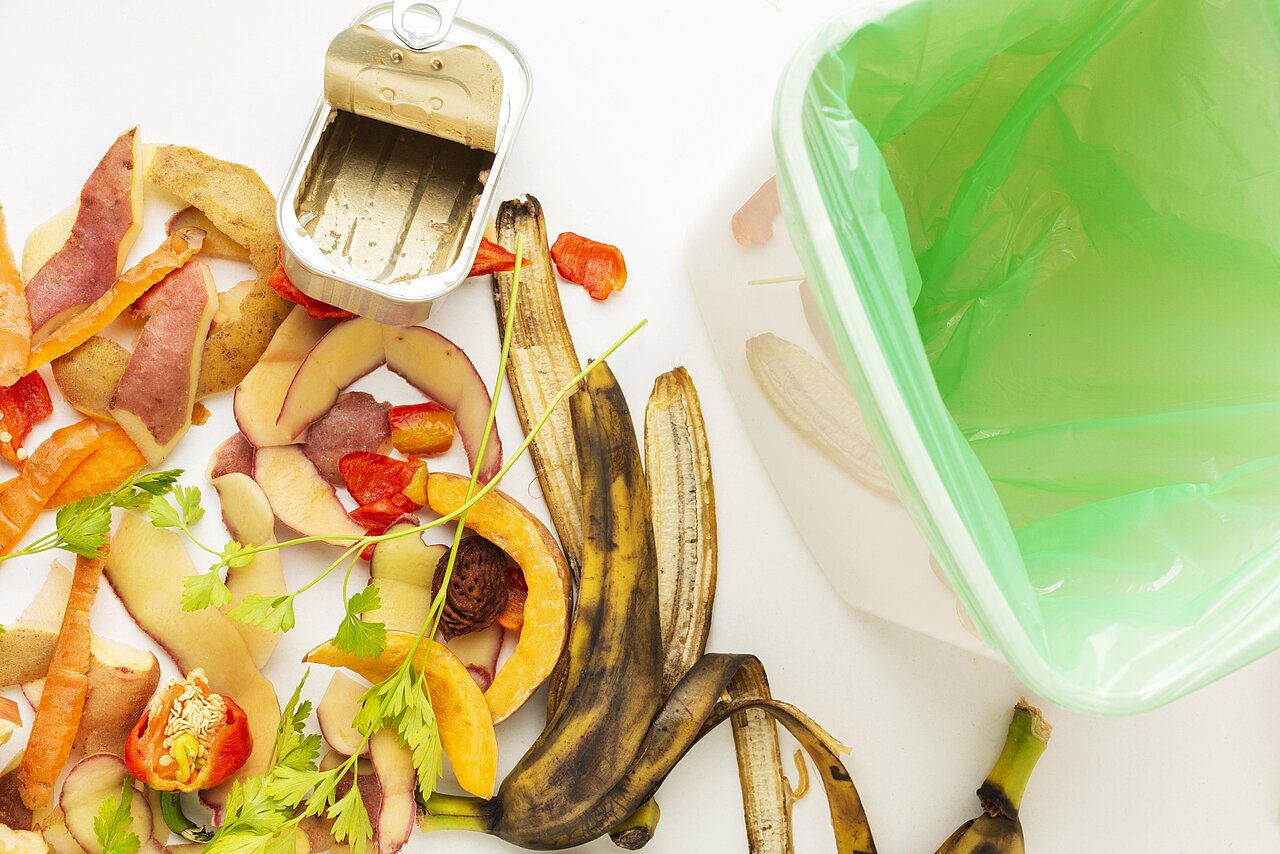 dekoratives Bild zur Kategorie "Abfall und Umweltschutz"