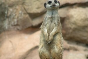 Kindertag im Vogelpark