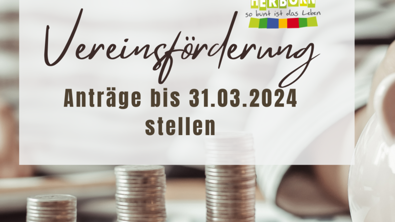 Beispielbild Vereinsförderung, Sparschwein und Geldstapel