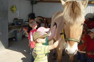 Kinder striegeln ein Pferd