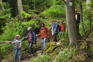 Wanderer auf dem Westerwaldsteig