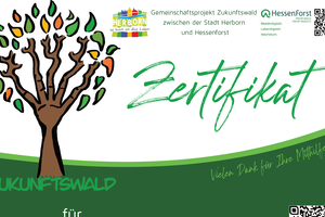 Beispielbild Zertifikat Zukunftswald