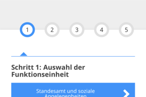 Beispielbild/Screenshot Online-Terminvereinbarung