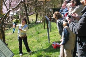 Kindergeburtstag im Vogelpark
