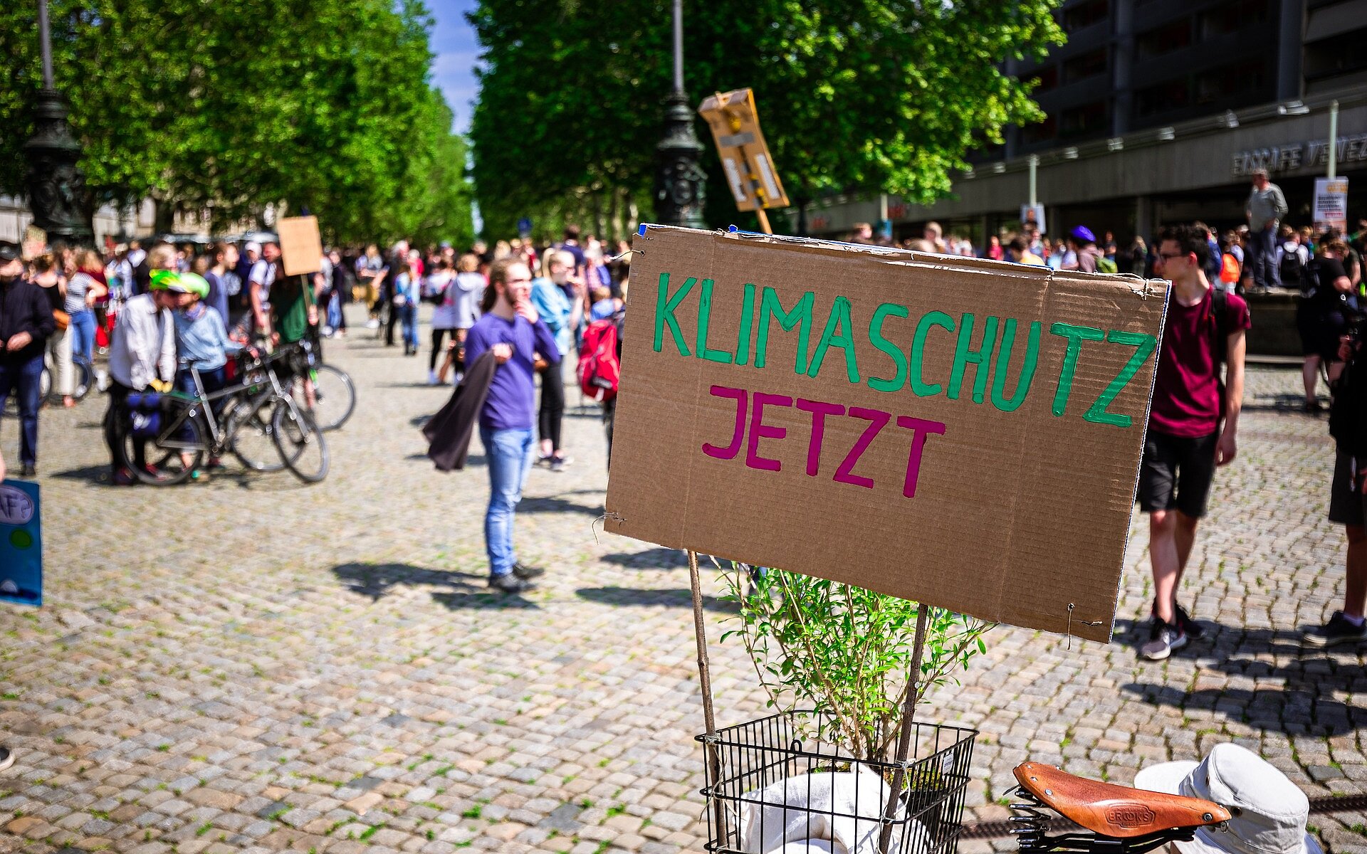 Bild einer Demo für mehr Klimaschutz 