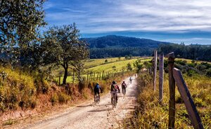 Radfahrer auf einem Feldweg.