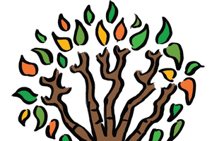Bild Logo Zukunftswald Herborn