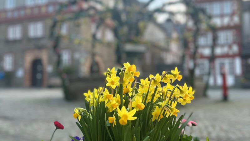 Beispielbild Ostern