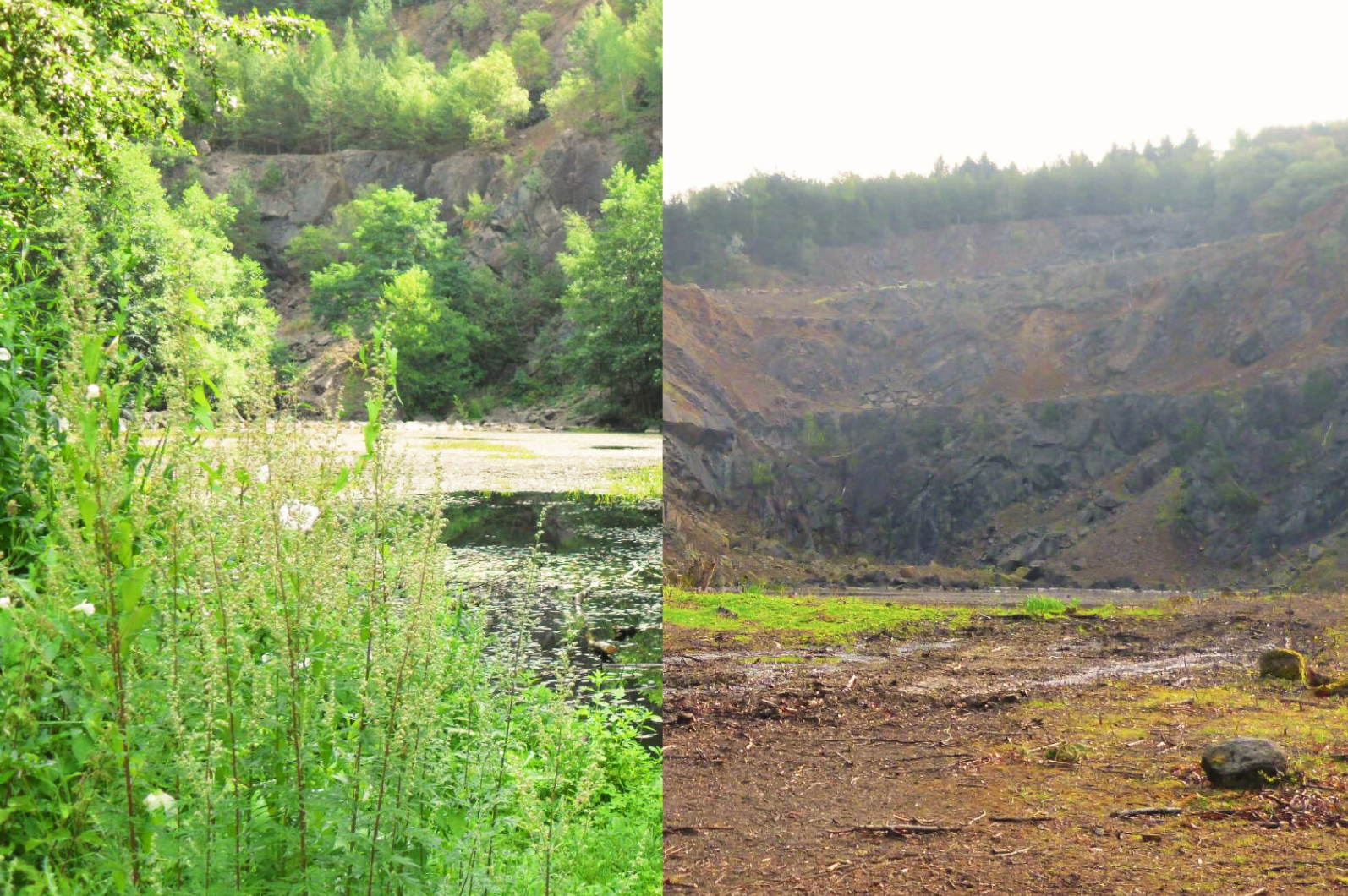 Landschaftspflege am Steinbruch Uckersdorf