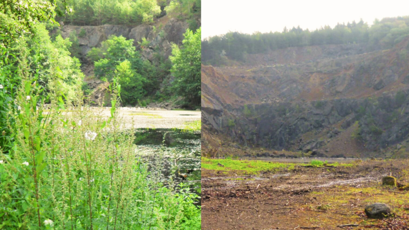 Landschaftspflege am Steinbruch Uckersdorf