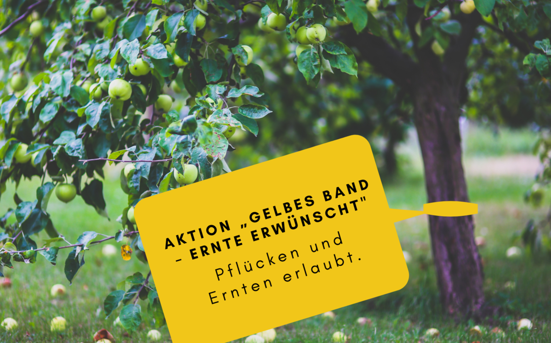 Apfelbaum mit gelbem Band.