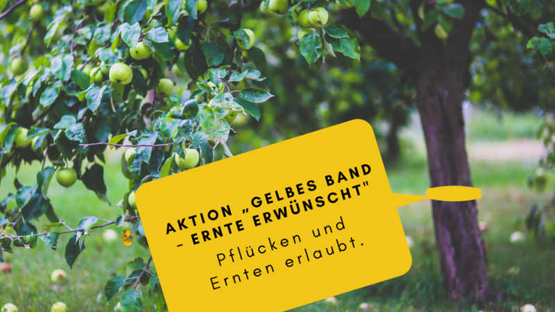 Apfelbaum mit gelbem Band.