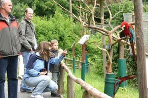 Tierpatentag