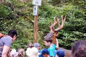 Beispielbild Kita-Kinder auf Wanderschaft
