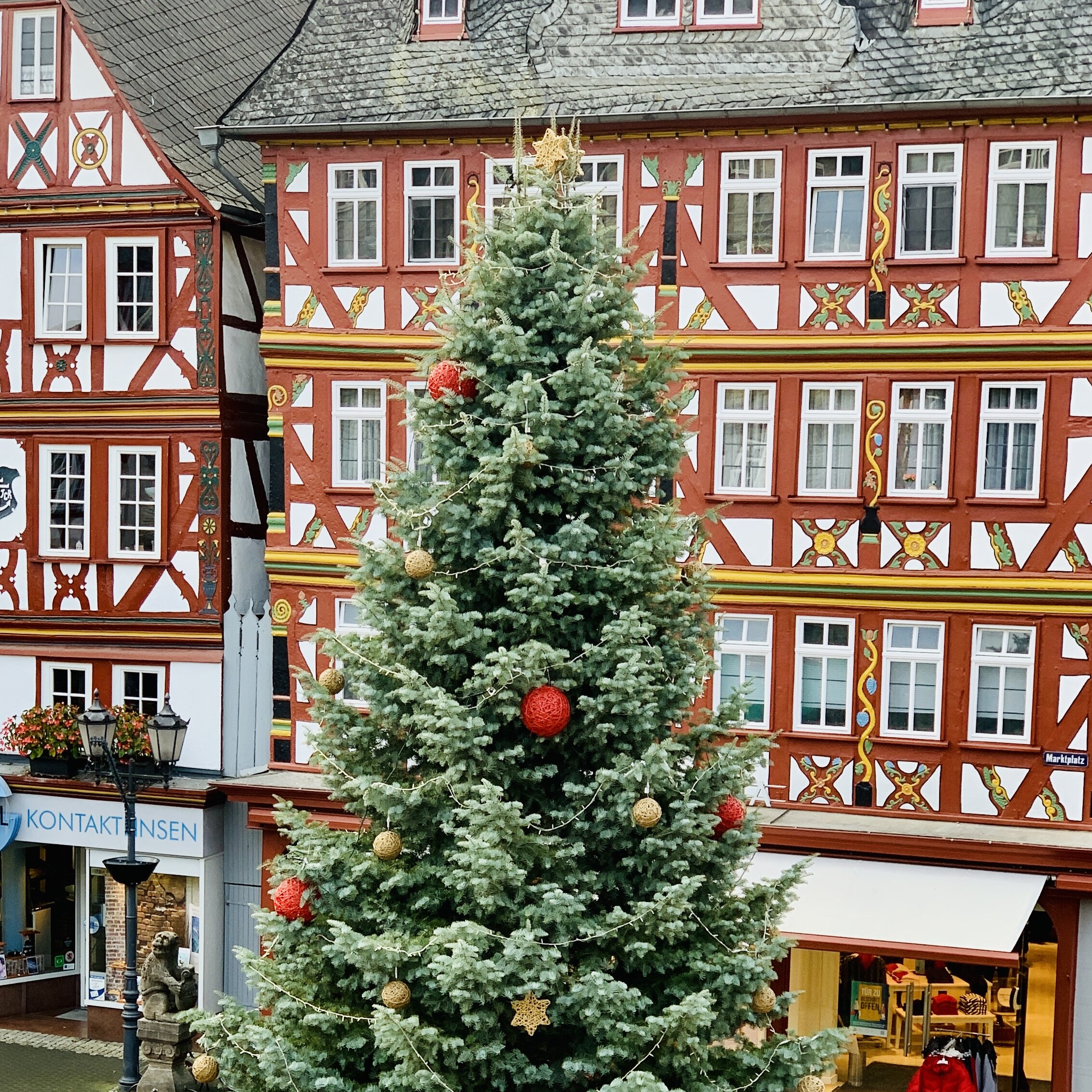 Bild des auf dem Marktplatz aufgestellten Christbaums