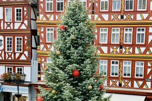 Bild des auf dem Marktplatz aufgestellten Christbaums