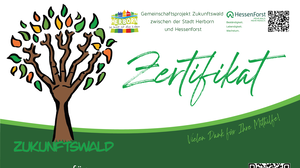 Ansicht des Zertifikates für die Spende für den Zukunftswald.