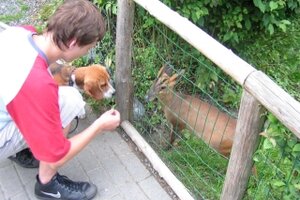 Vogelpark