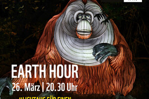 Beispielbild Earth Hour, Orang-Uthan