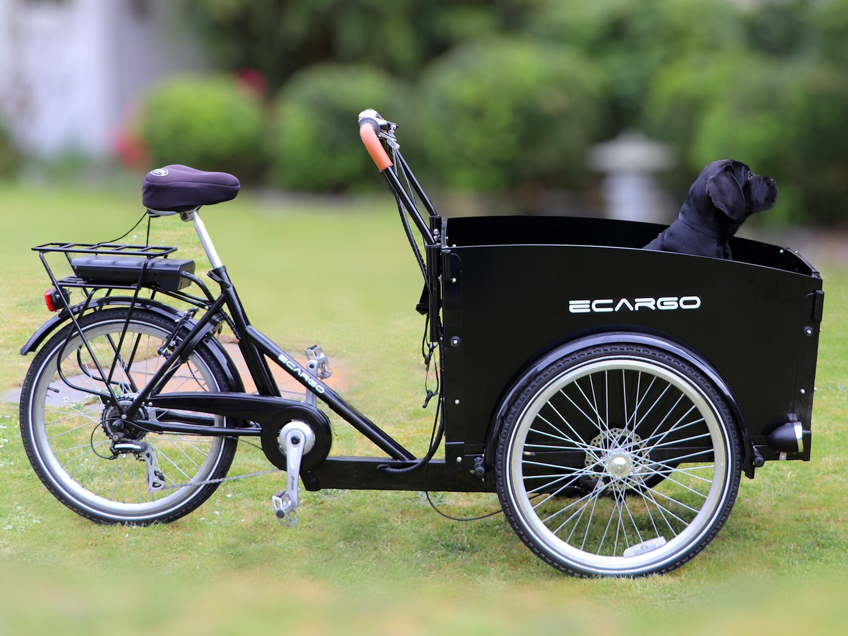 Ein Lastenfahrrad mit E-Antrieb und Hund im Lastenkorb