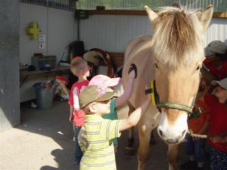 Kinder striegeln ein Pferd