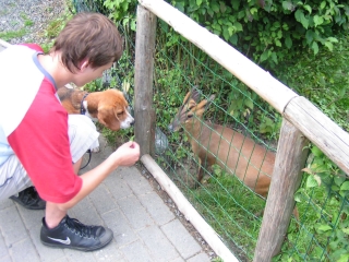 Vogelpark