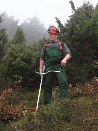 Ein Arbeiter bei der Pflege der Wacholderheide