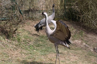 Vogelpark