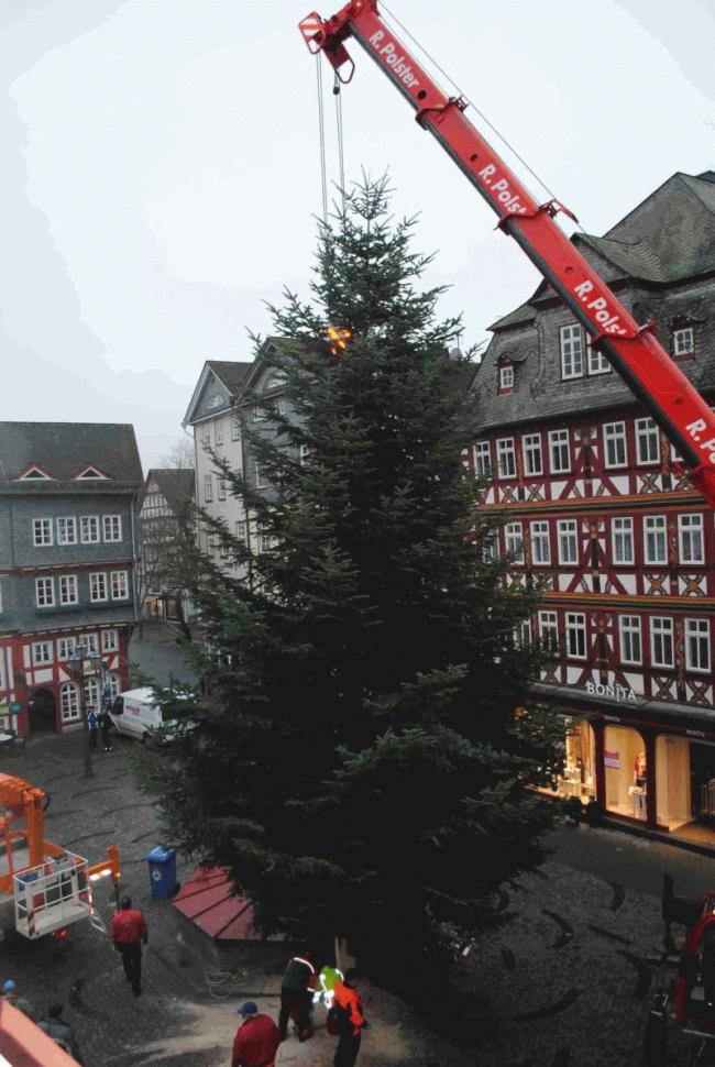 Der Weihnachtsbaum steht • Stadt Herborn