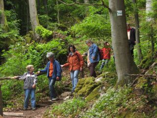 Wanderer auf dem Westerwaldsteig