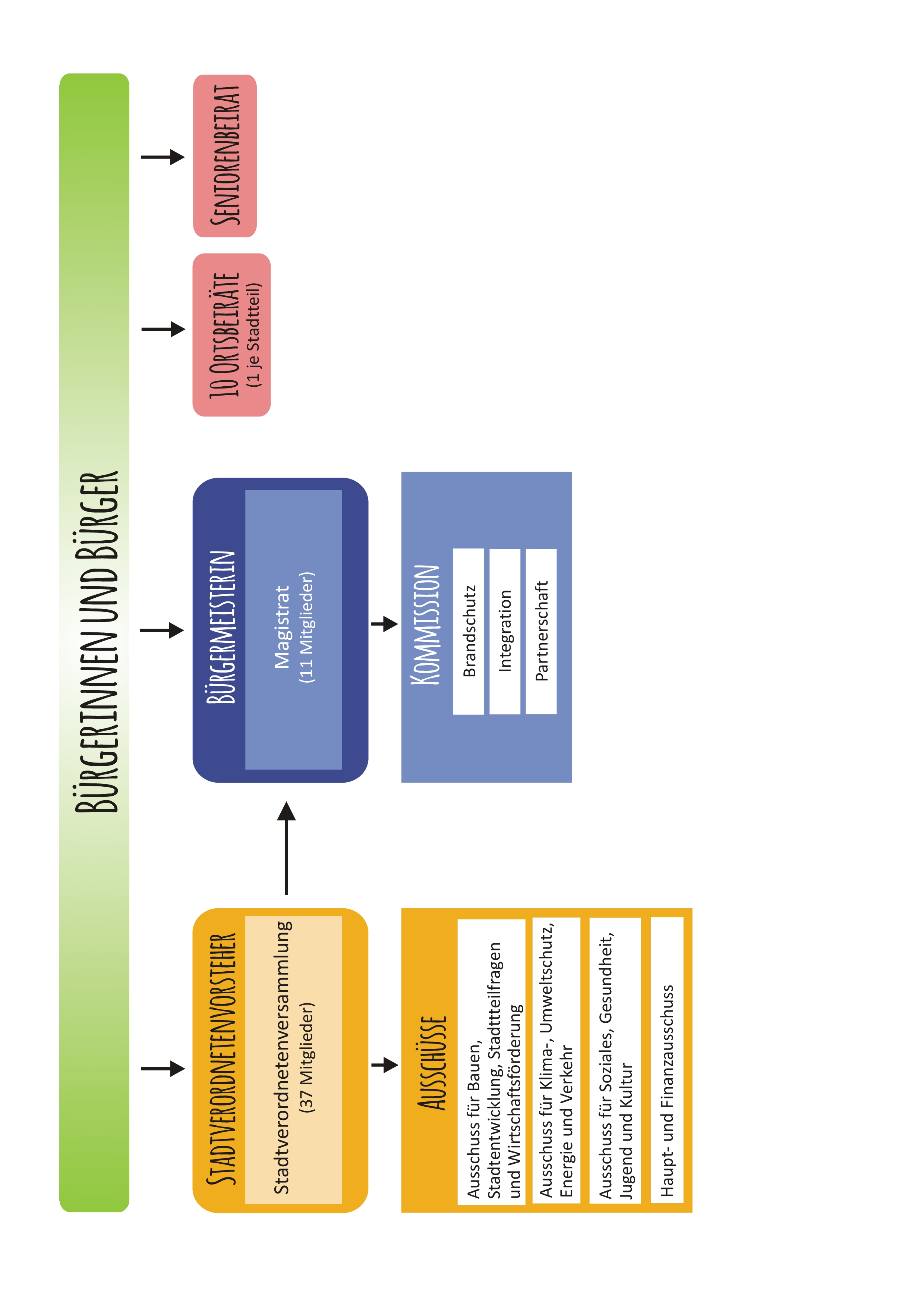 Schaubild der politischen Organe der Stadt Herborn