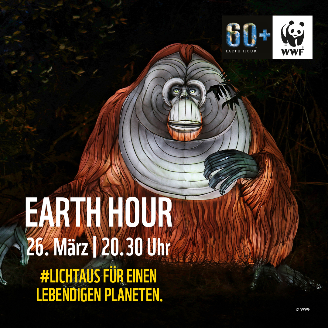 Beispielbild Earth Hour, Orang-Uthan