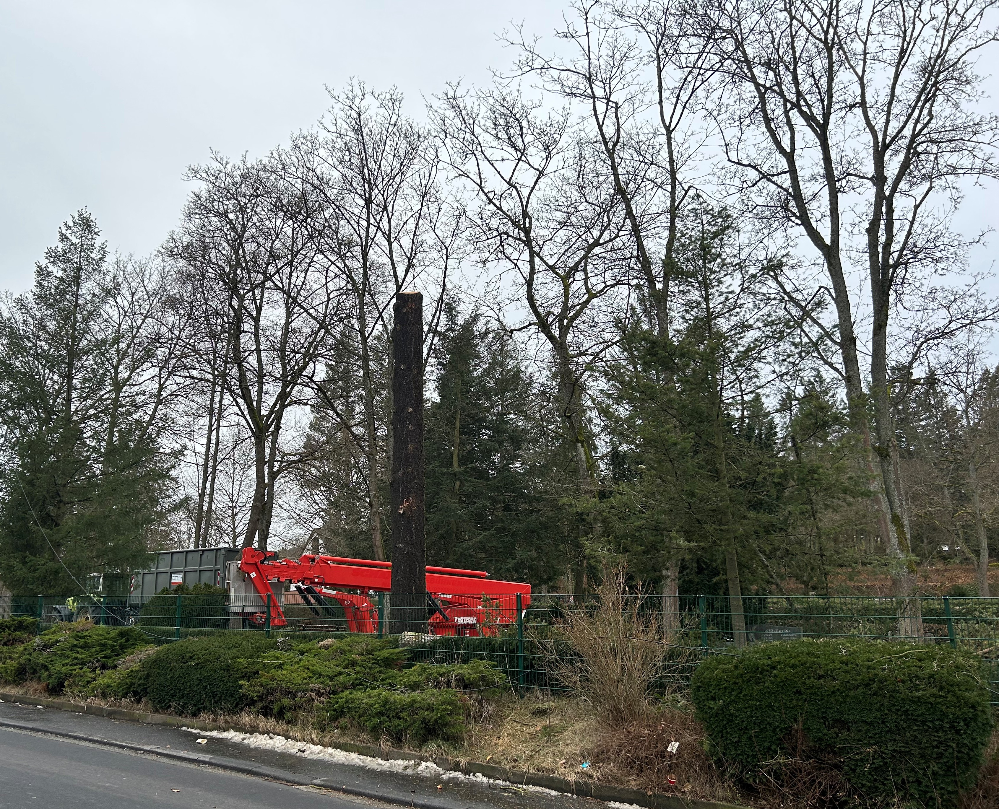 Bild von der Baumkontrolle/Fällung auf dem Friedhof Herborn